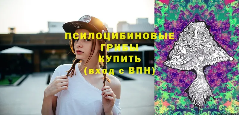 Псилоцибиновые грибы MAGIC MUSHROOMS  где купить наркоту  Балтийск 